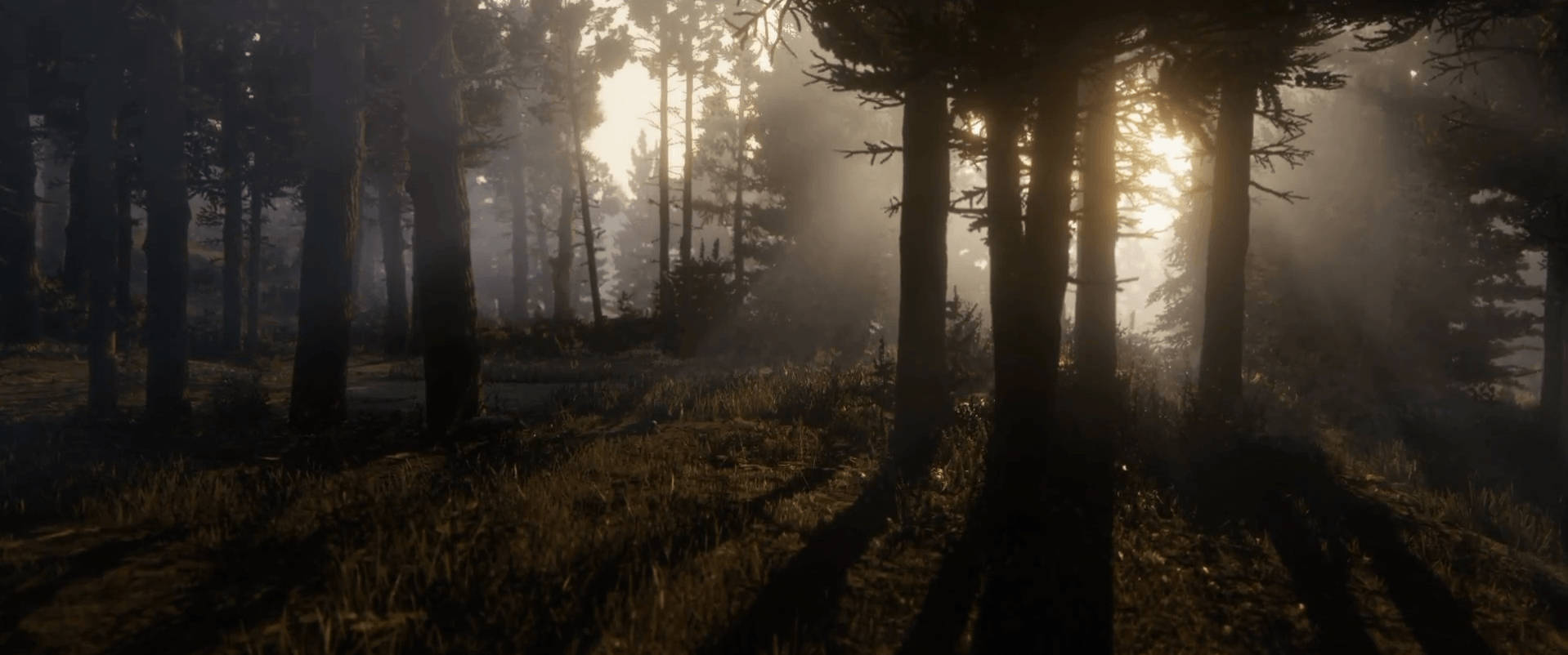 Immersive Wild West Adventure - Red Dead Redemption 2 In Stunning 4k Background