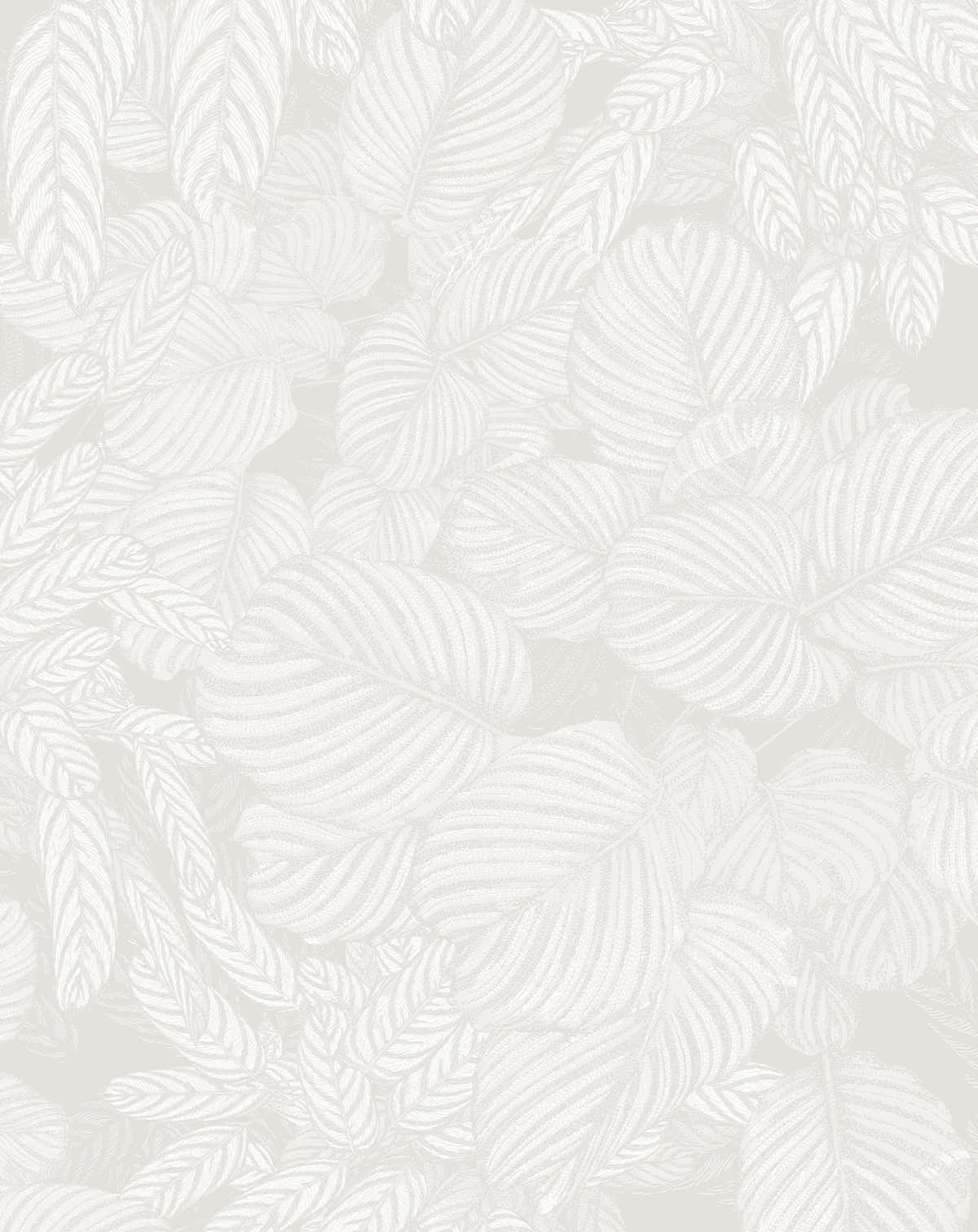 Impartial Gray Tropical Leaves Background