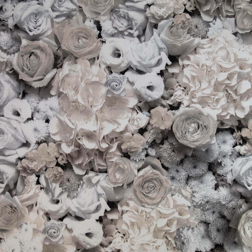 Impartial Xs Background