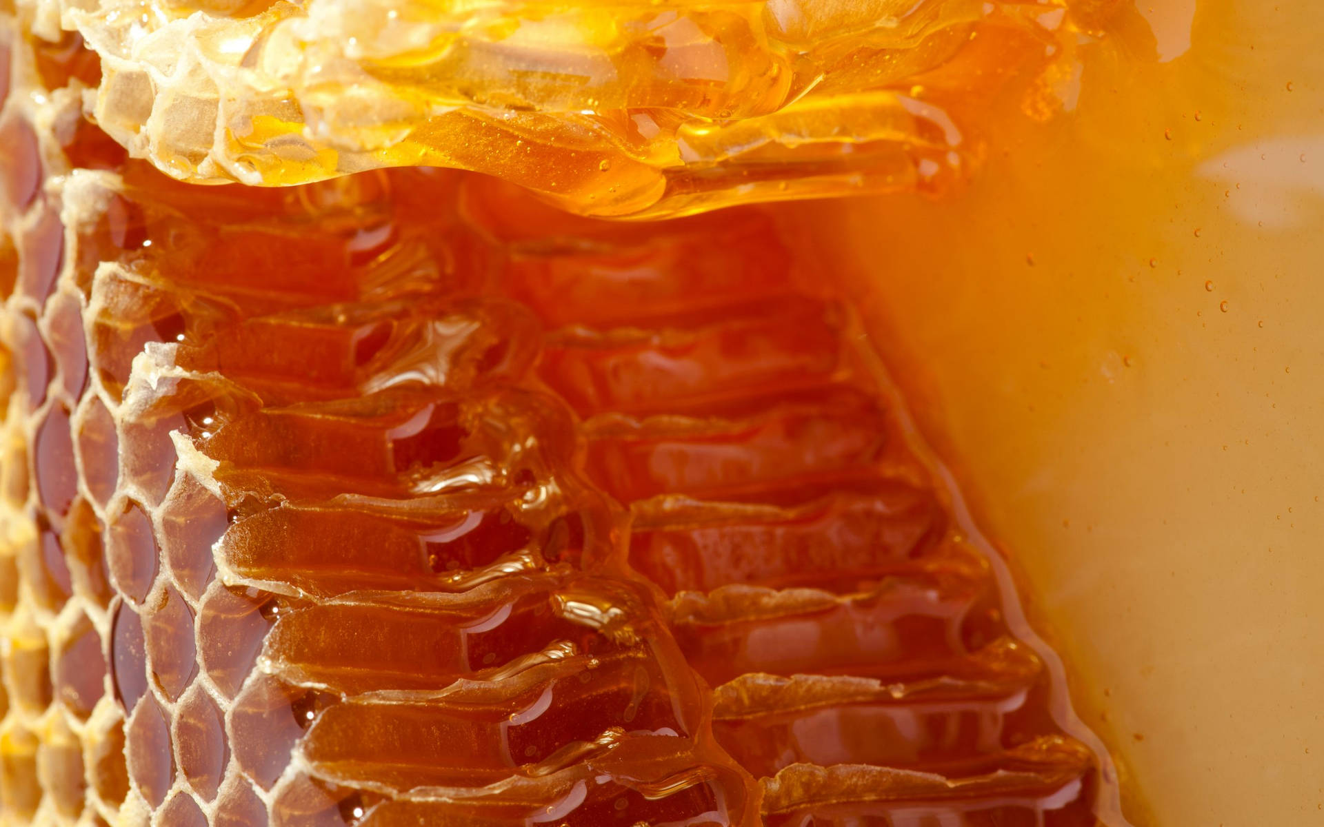 Impressive Raw Honey Macro Photography