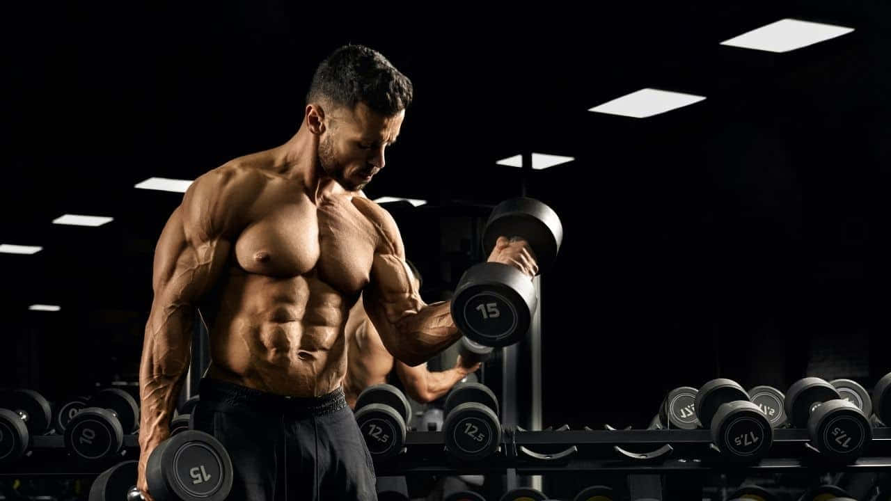 Improvements Of The Unilateral Muscles Of The Body Background