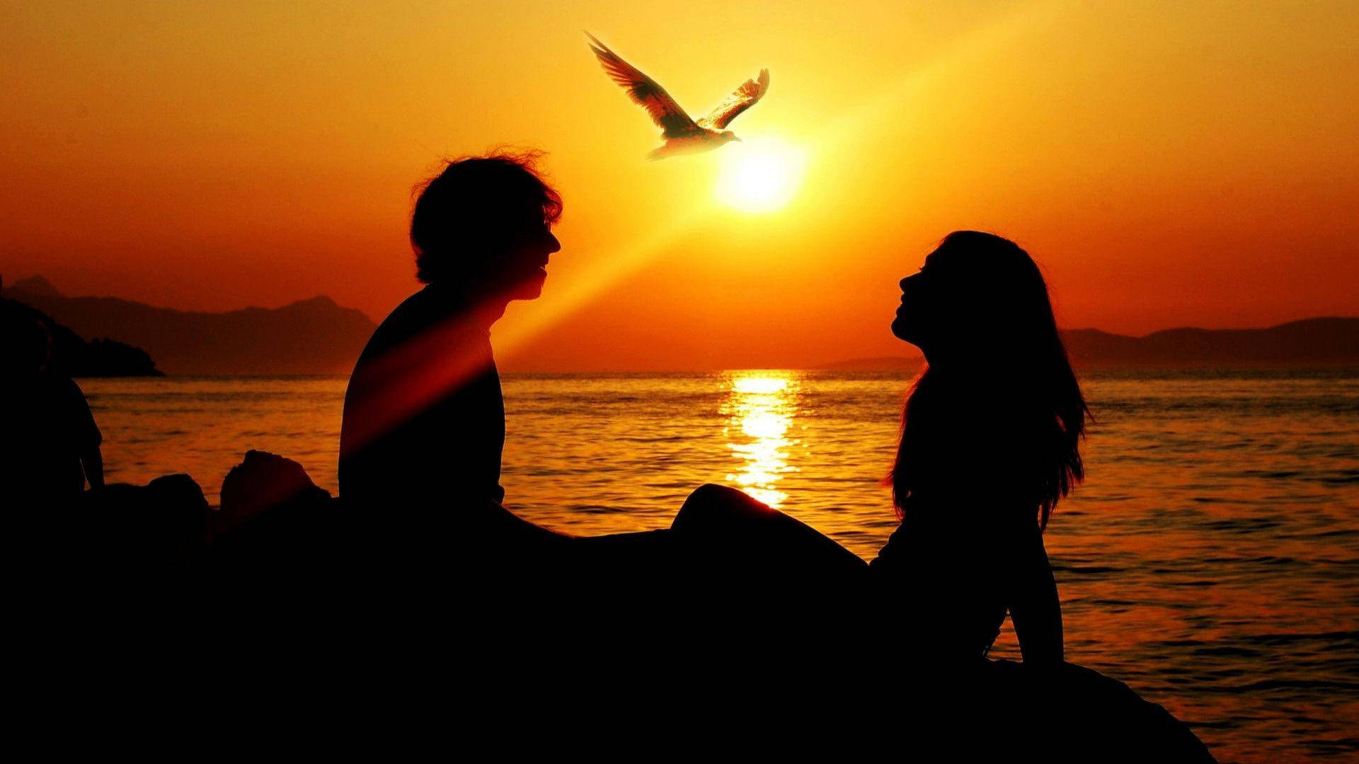 In Love Couples Romantic Sunset