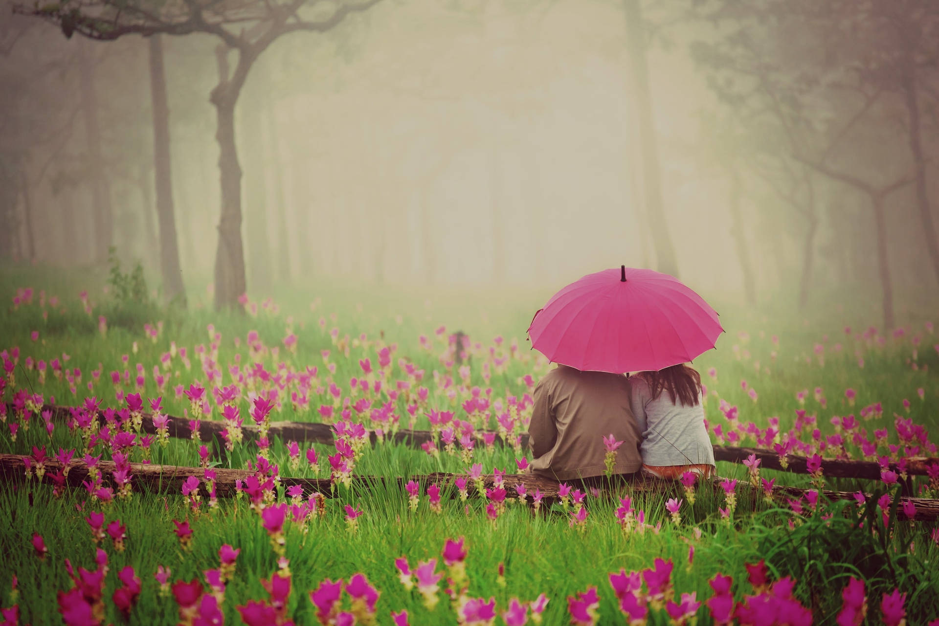 In Love Couples Tree Branch Background