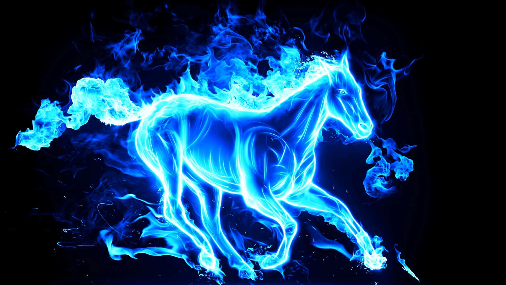 Inane Glowing Horse Background