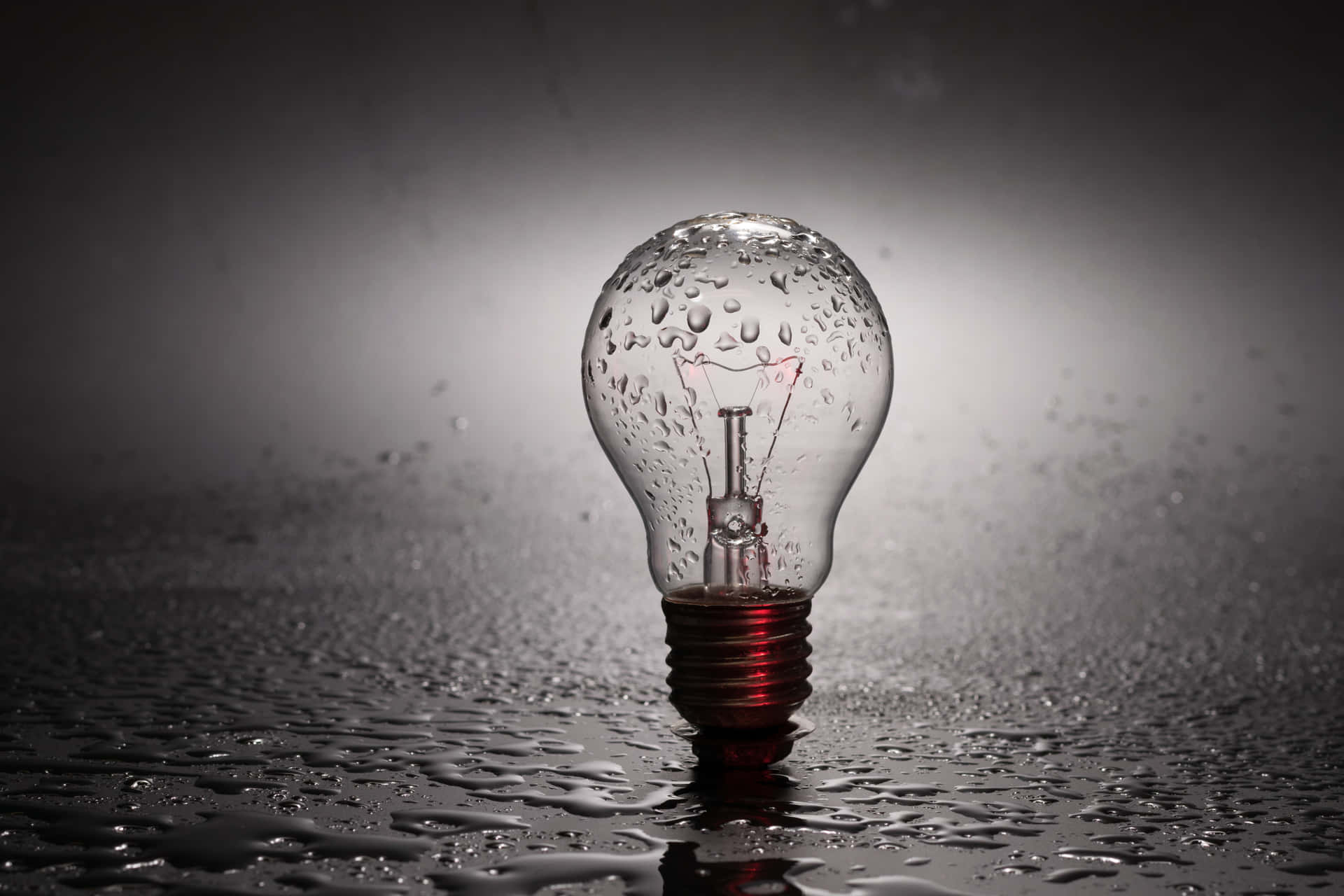 Incandescent Bulb On Wet Ground