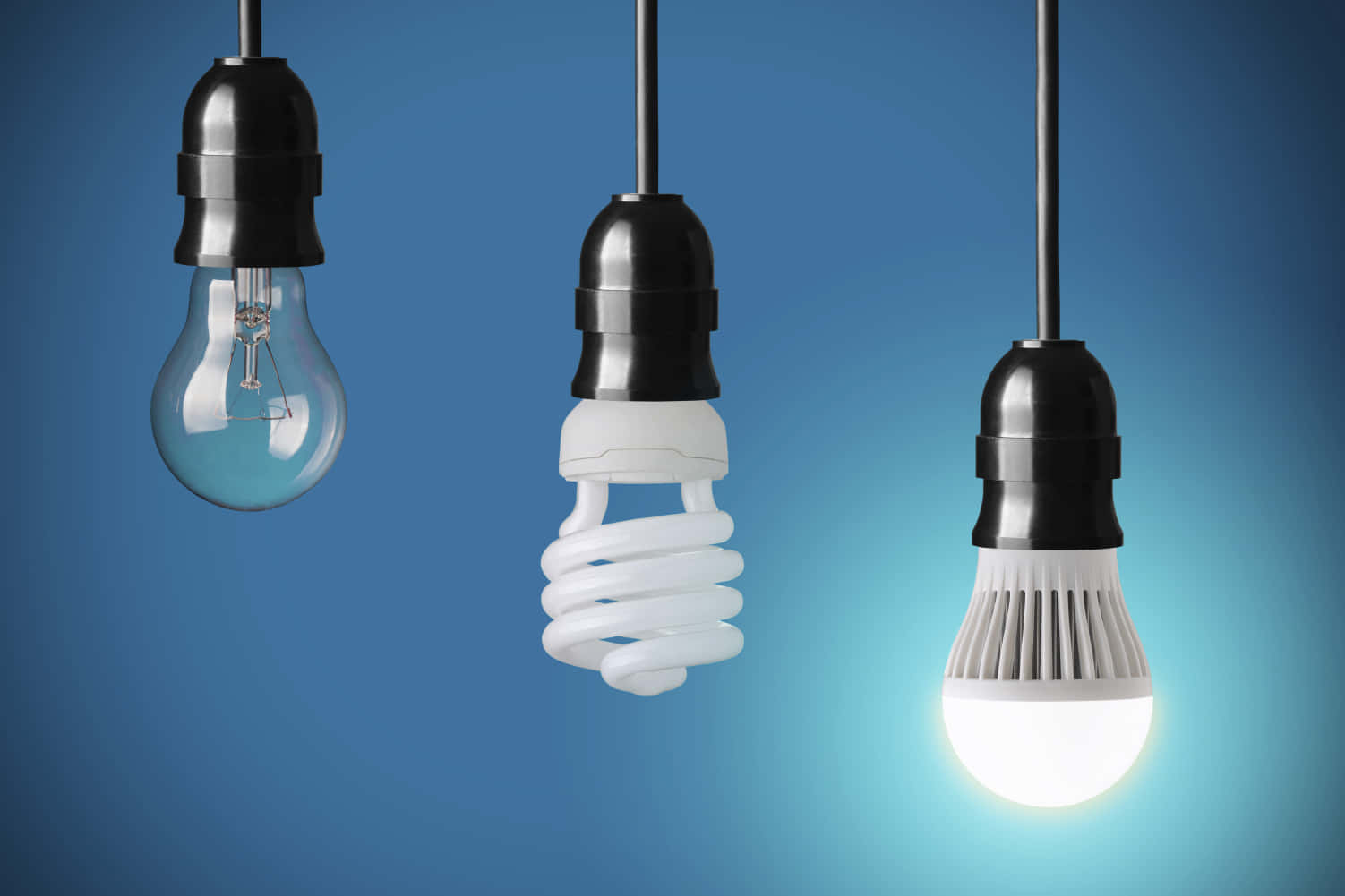 Incandescent Bulbs In Various Shapes
