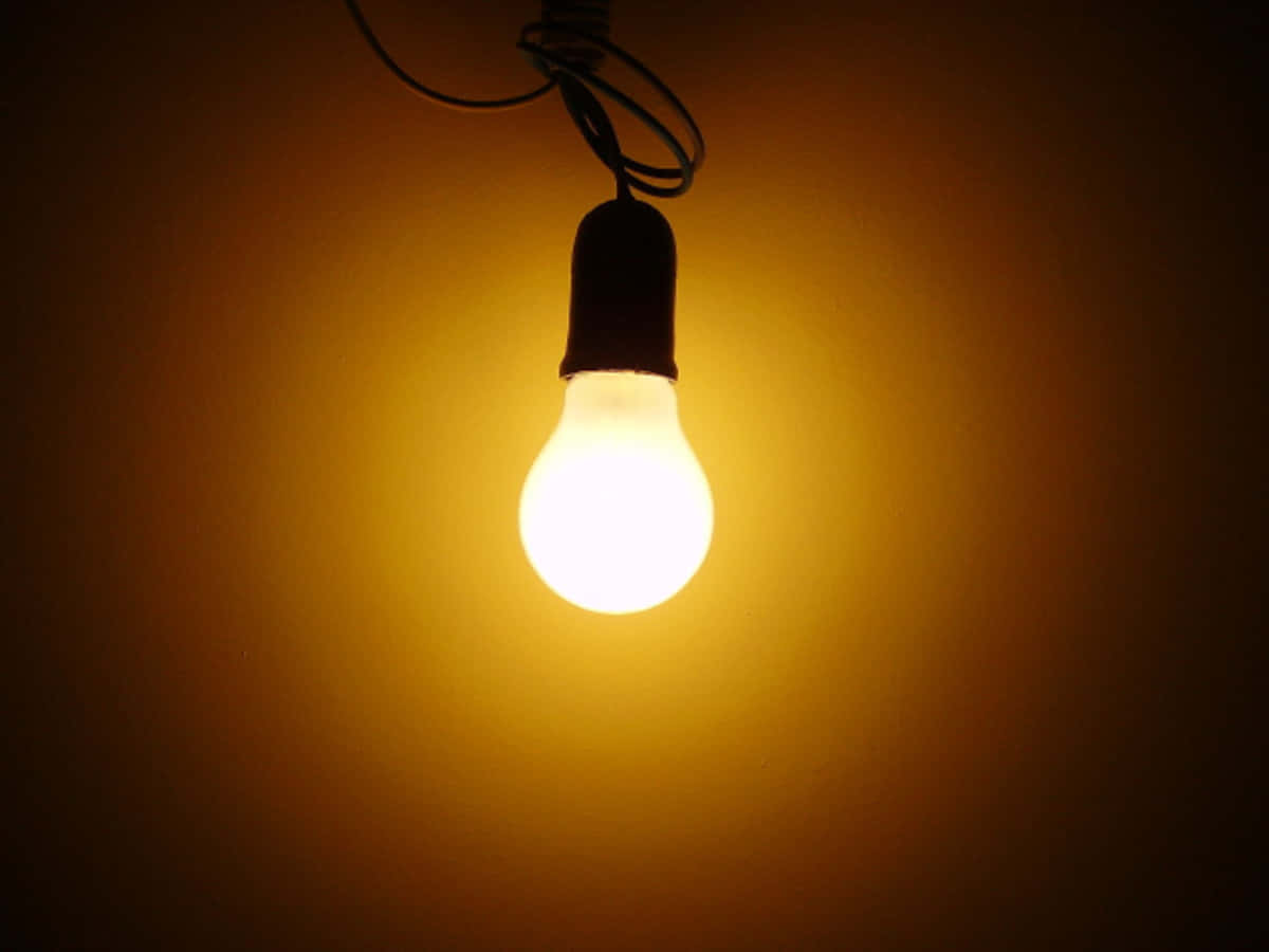 Incandescent House Bulb Background