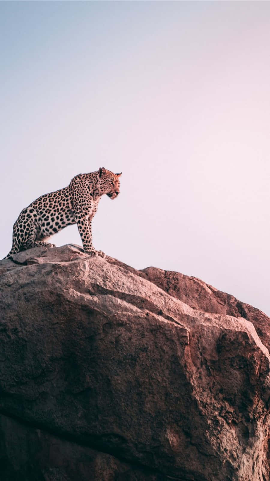 Increasing Digital Connectivity On The African Continent Background