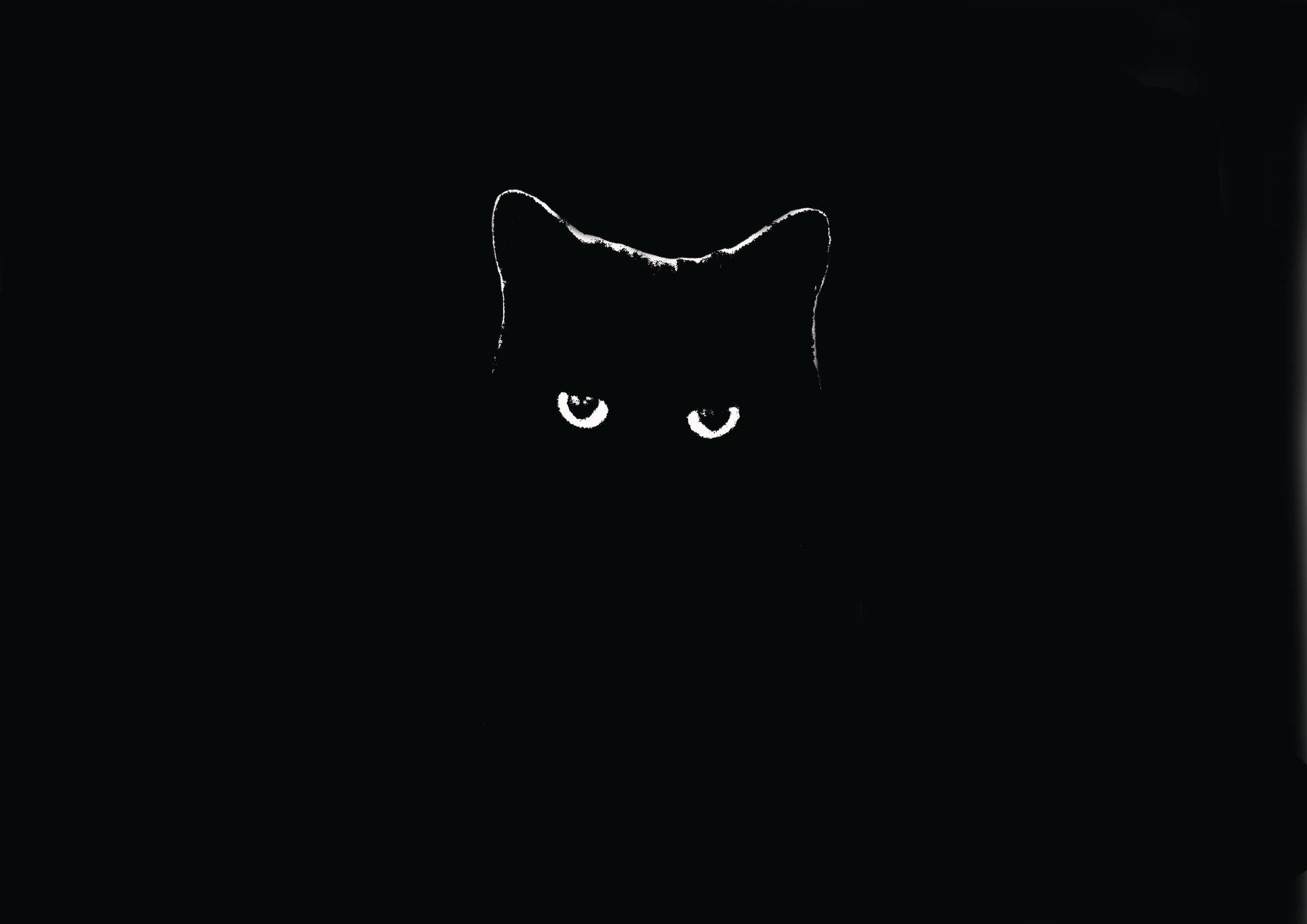 Incredible Black Cat Dark 4k Background
