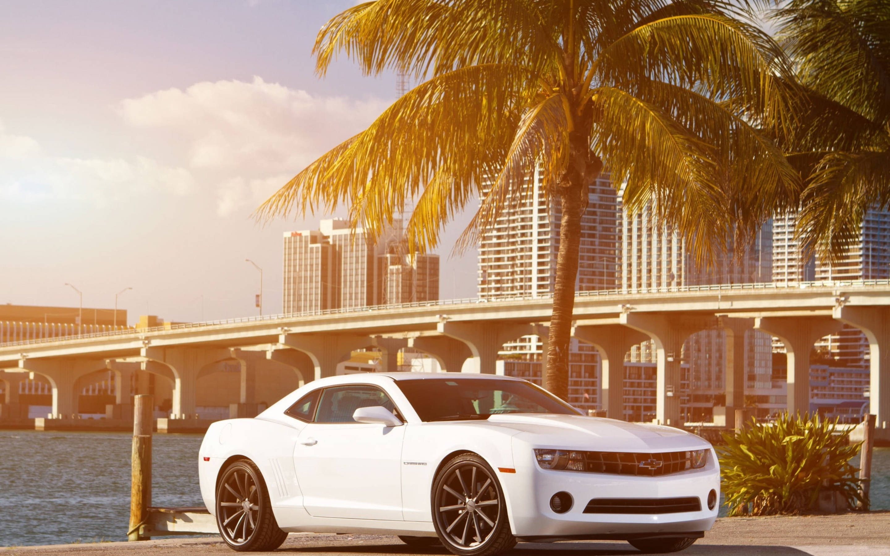 Incredible Camaro Muscle Car Basking In The Summer Sun Background