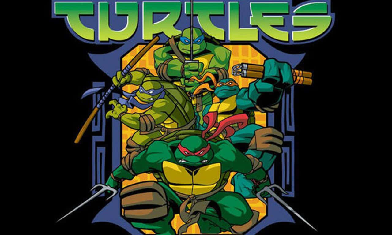 Indefinite Identities Of Ninja Turtles