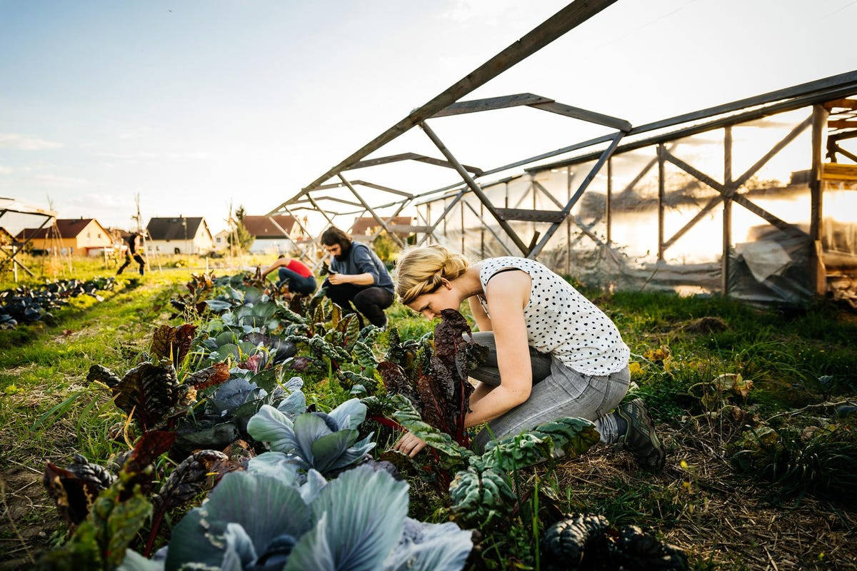 Independent Farming Background