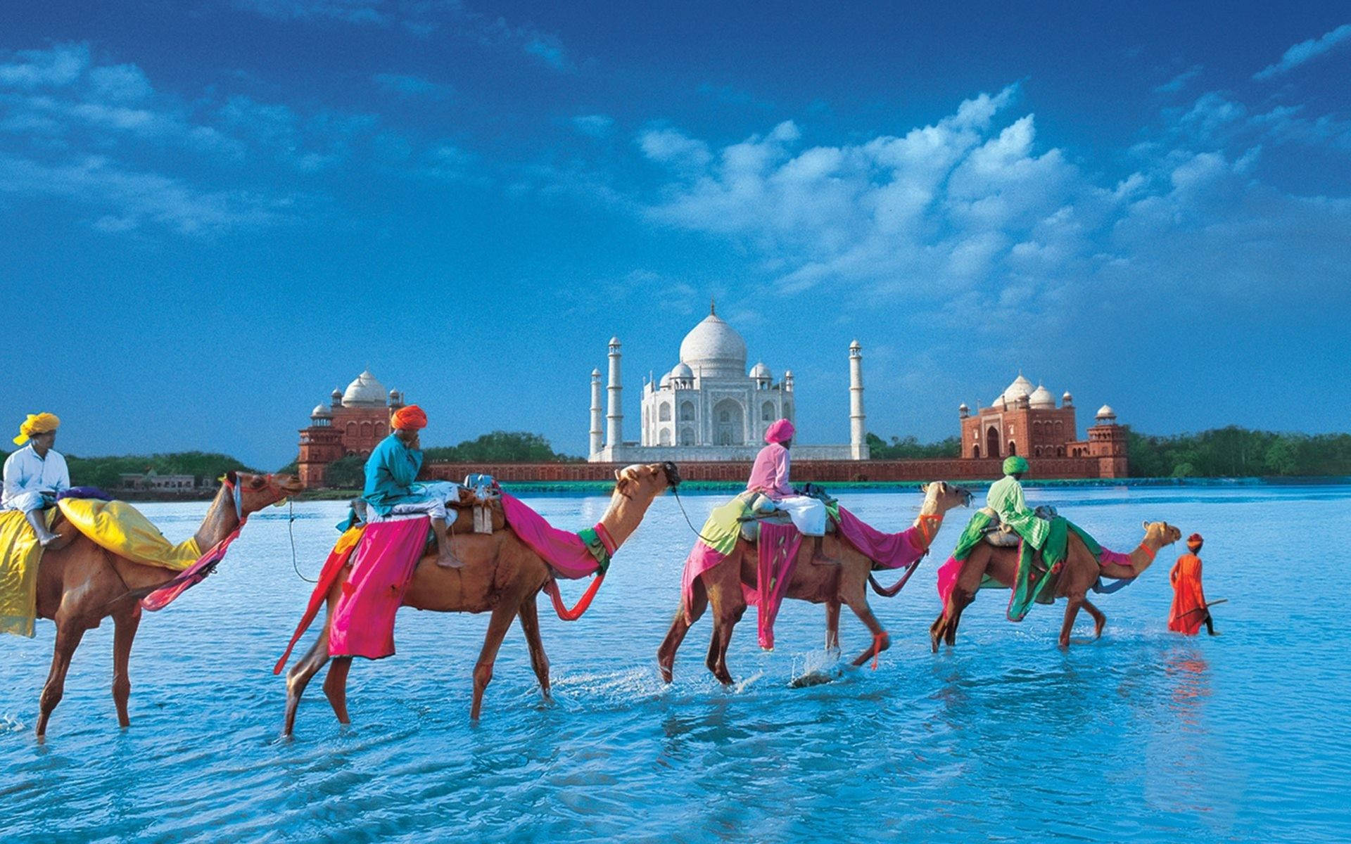 India Taj Mahal With Camels Background