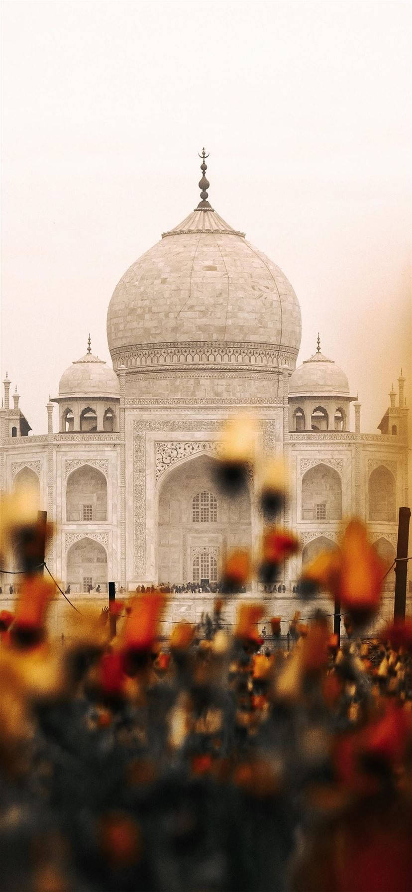 Indian Aesthetic Taj Mahal Flowers Background