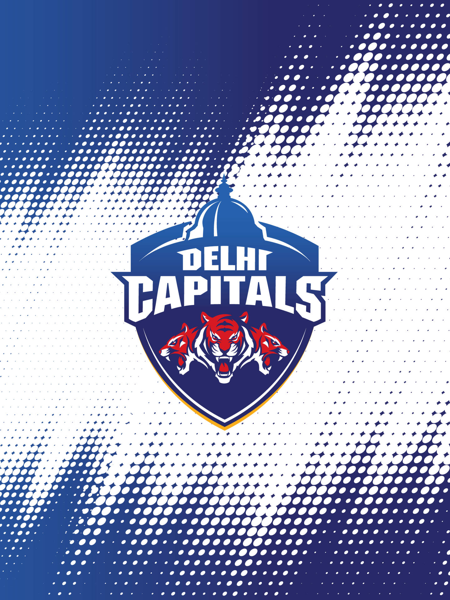 Indian Cricket Team Logo Delhi Capitals Background