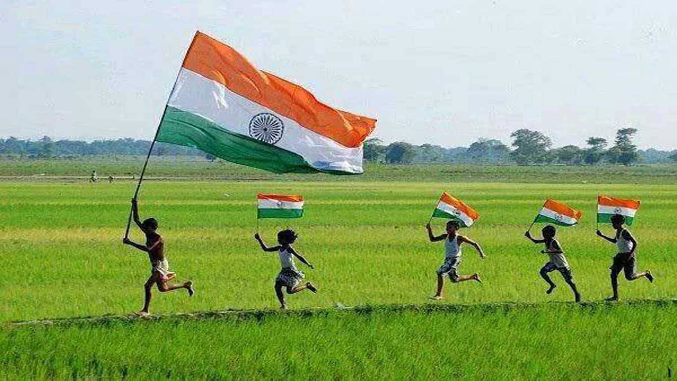 Indian Flag Hd Race At The Rice Field Background