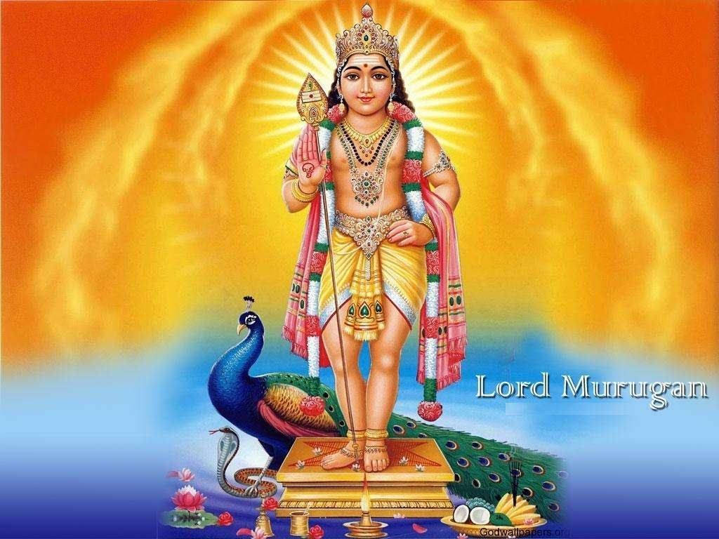 Indian God Murugan Background
