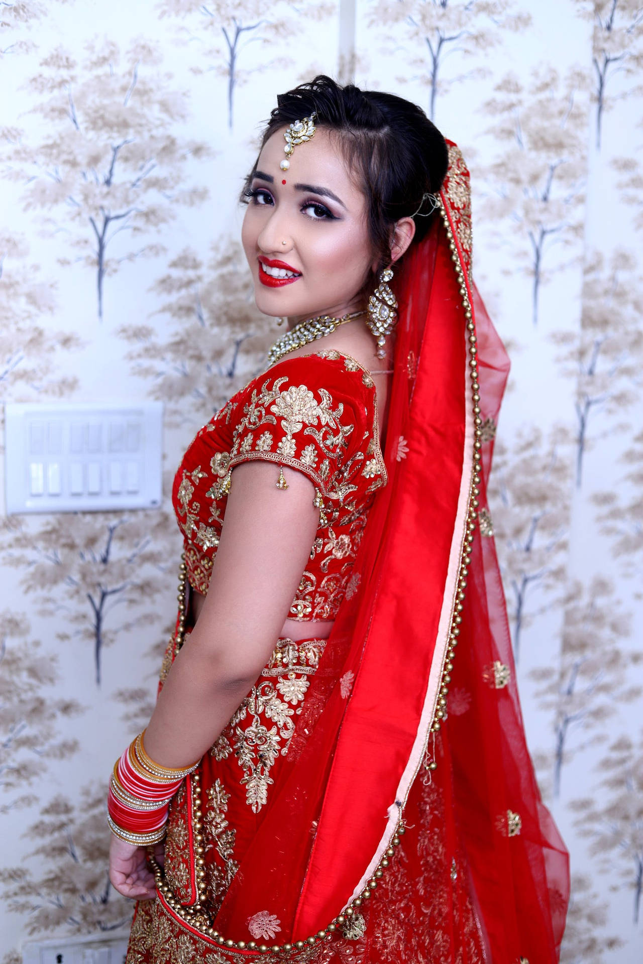 Indian Wedding Red Gold Sari Background