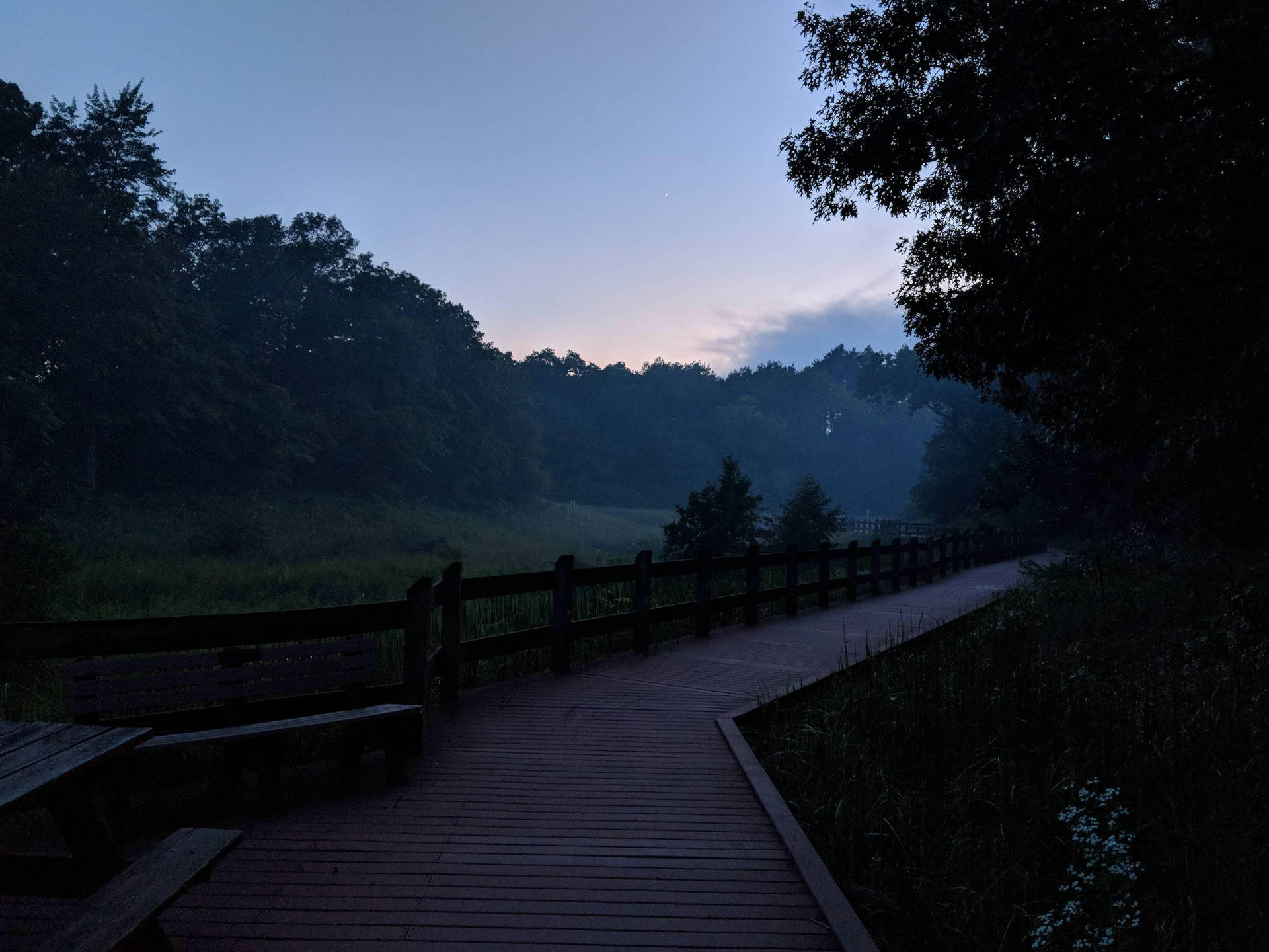 Indiana Dunes State Park Evening Background