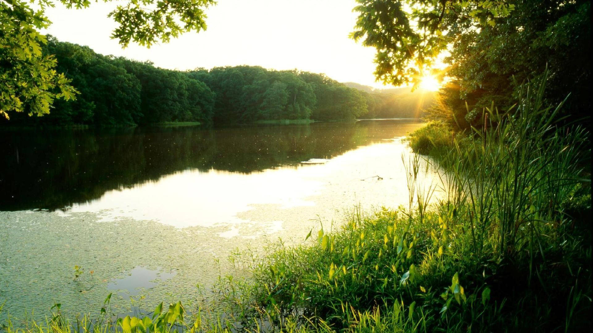 Indiana Lake Sunset Background