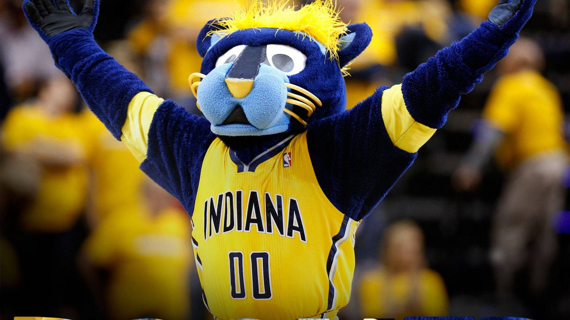 Indiana Pacers Mascot Boomer Background