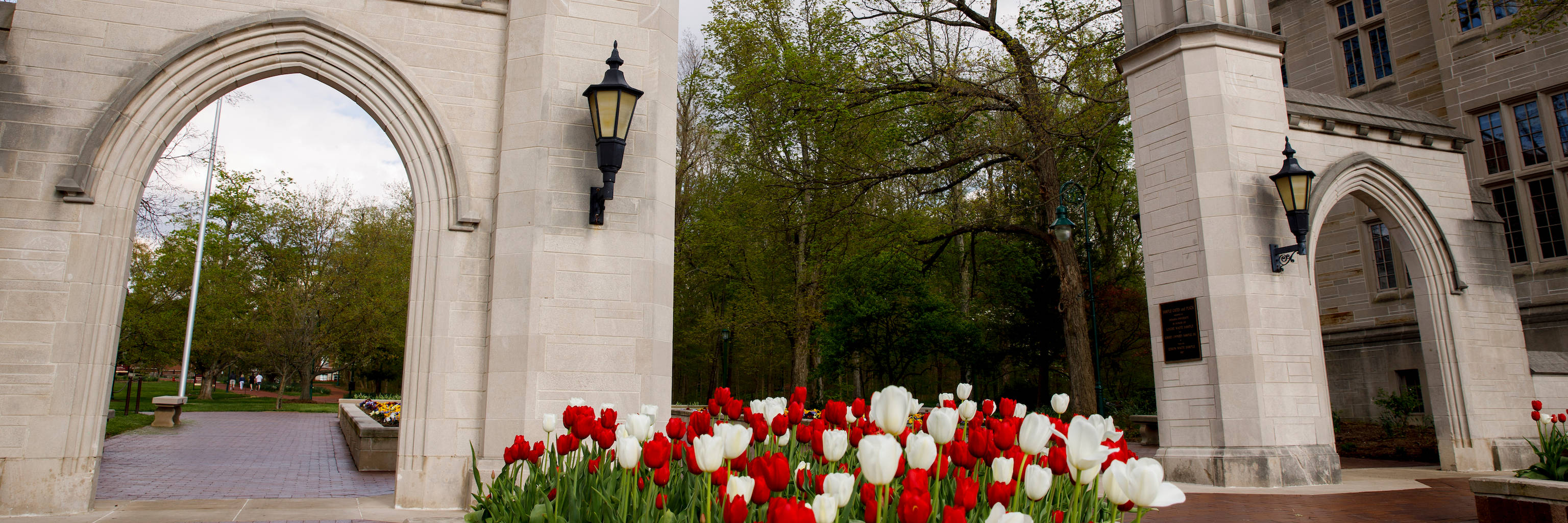 Indiana University Bloomington Gate And Flowers Background