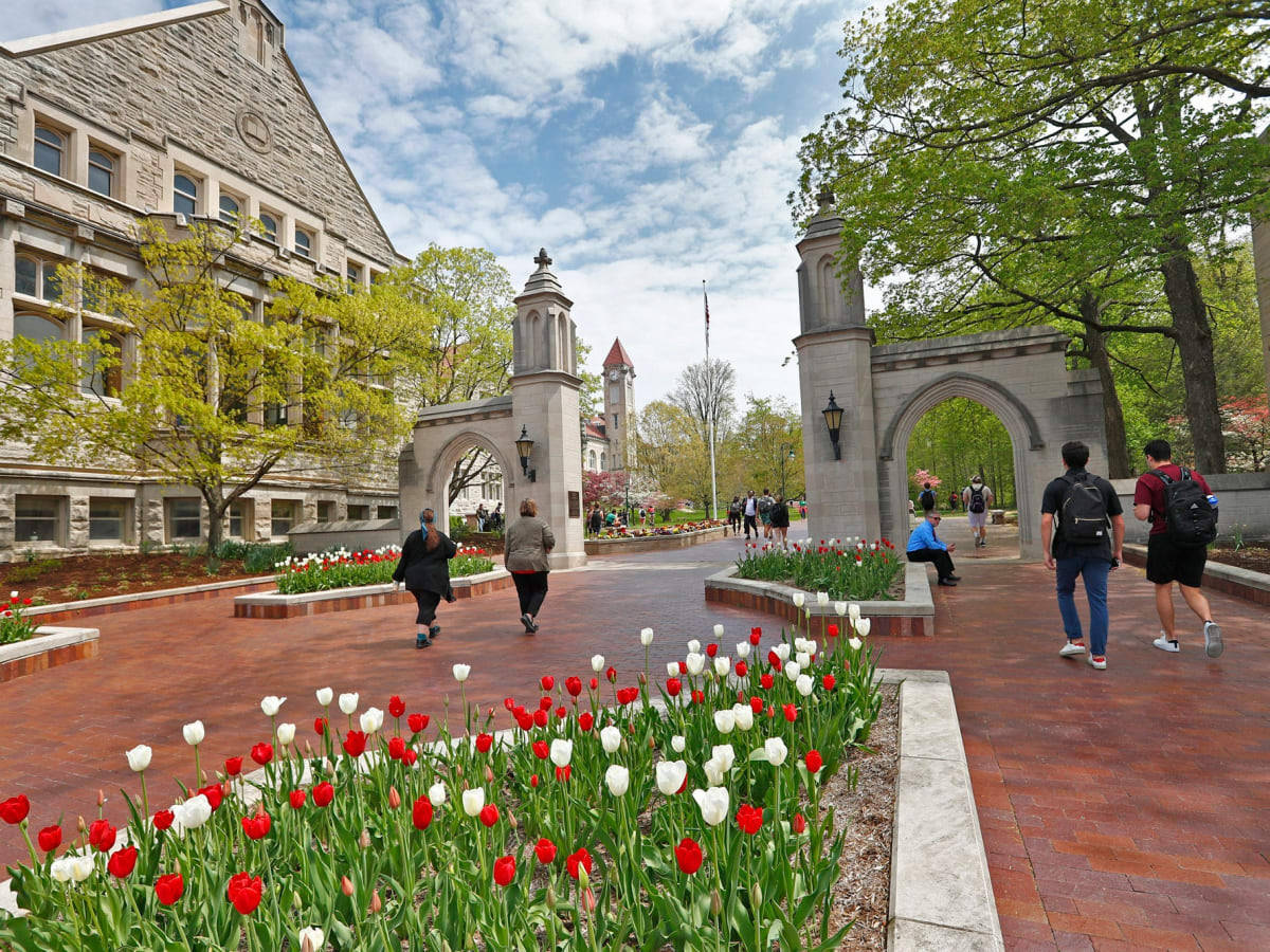 Indiana University Bloomington Tulips And Gate Background