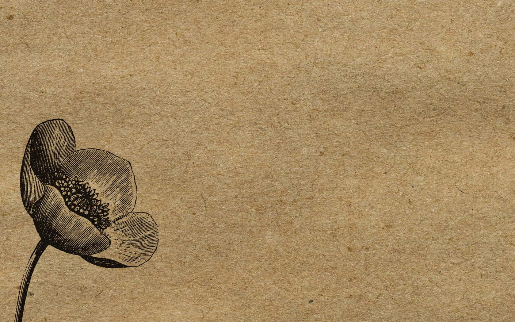 Indie Desktop With Floating Forest Background