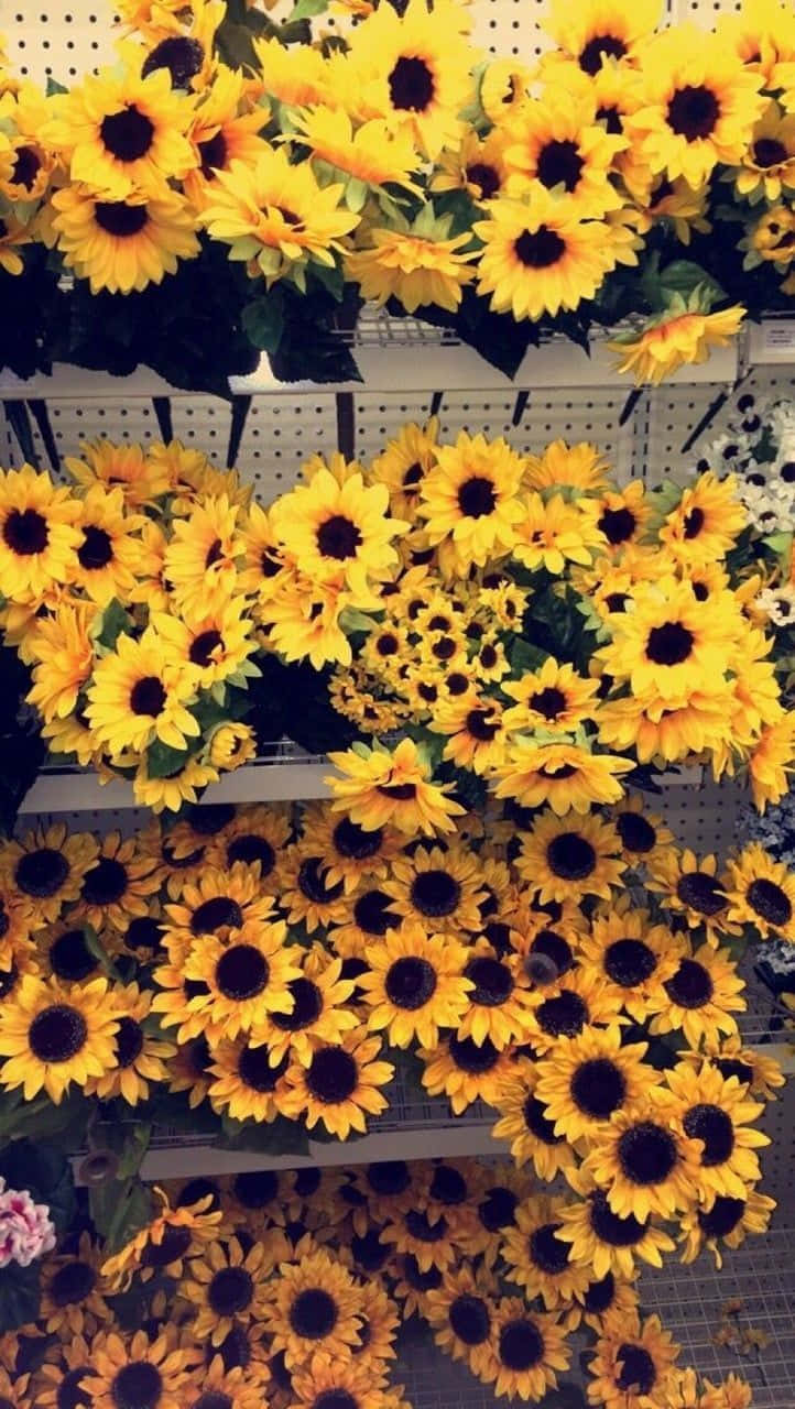 Indie Flower [wallpaper] Background