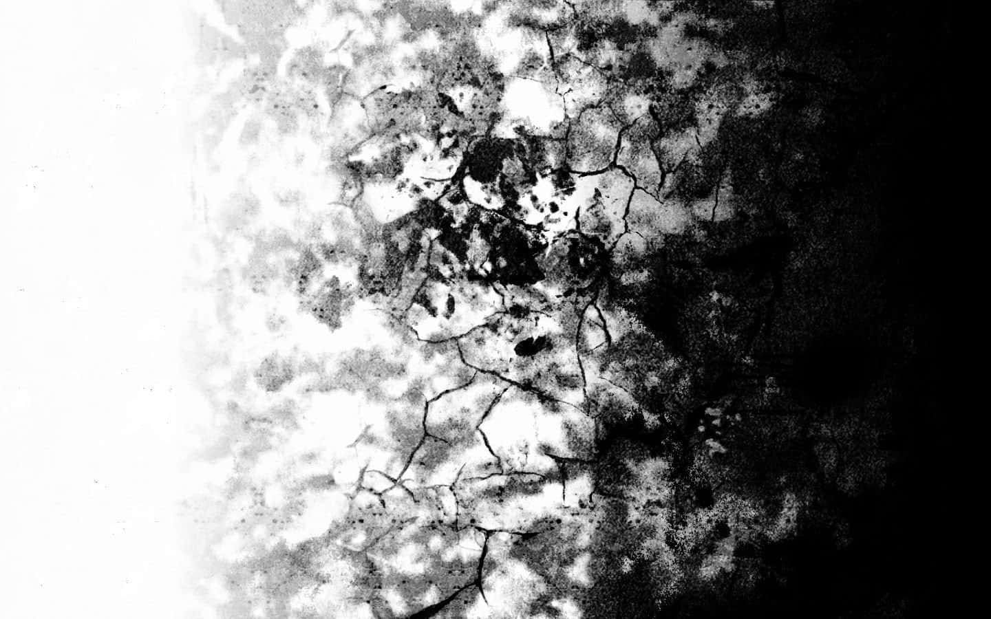 Indie Flower [wallpaper]