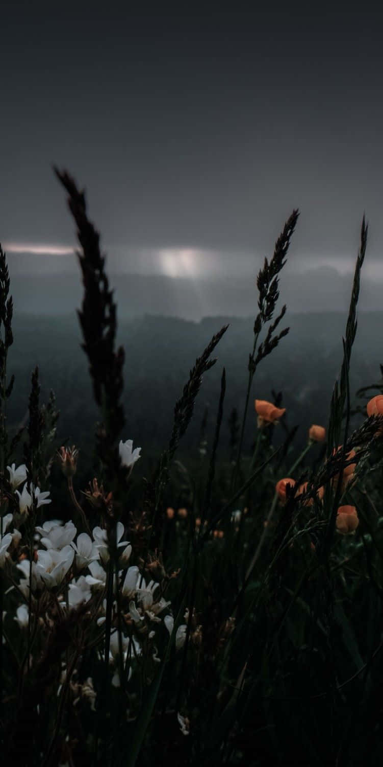 Indie Flower [wallpaper]