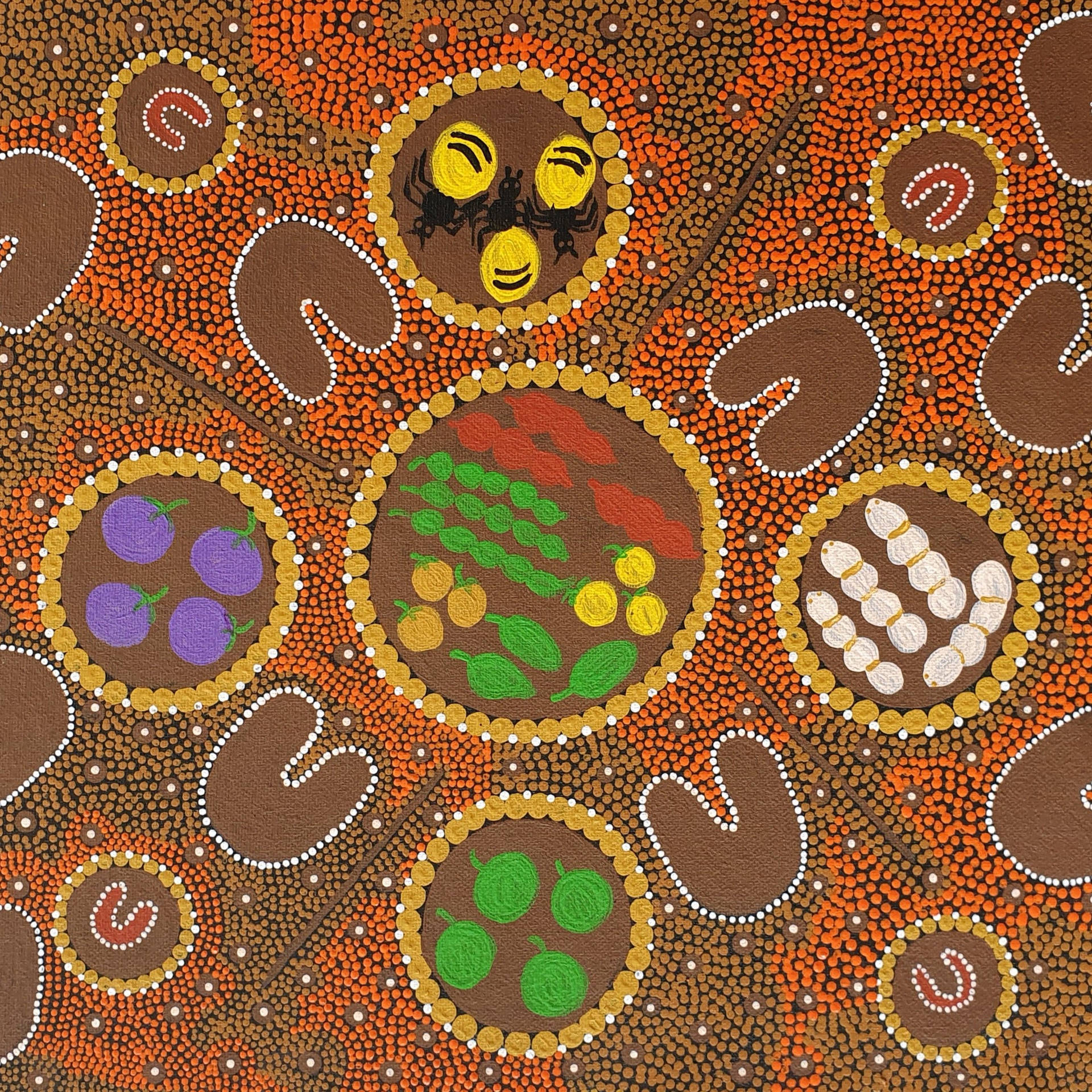 Indigenous Beans And Crops Background