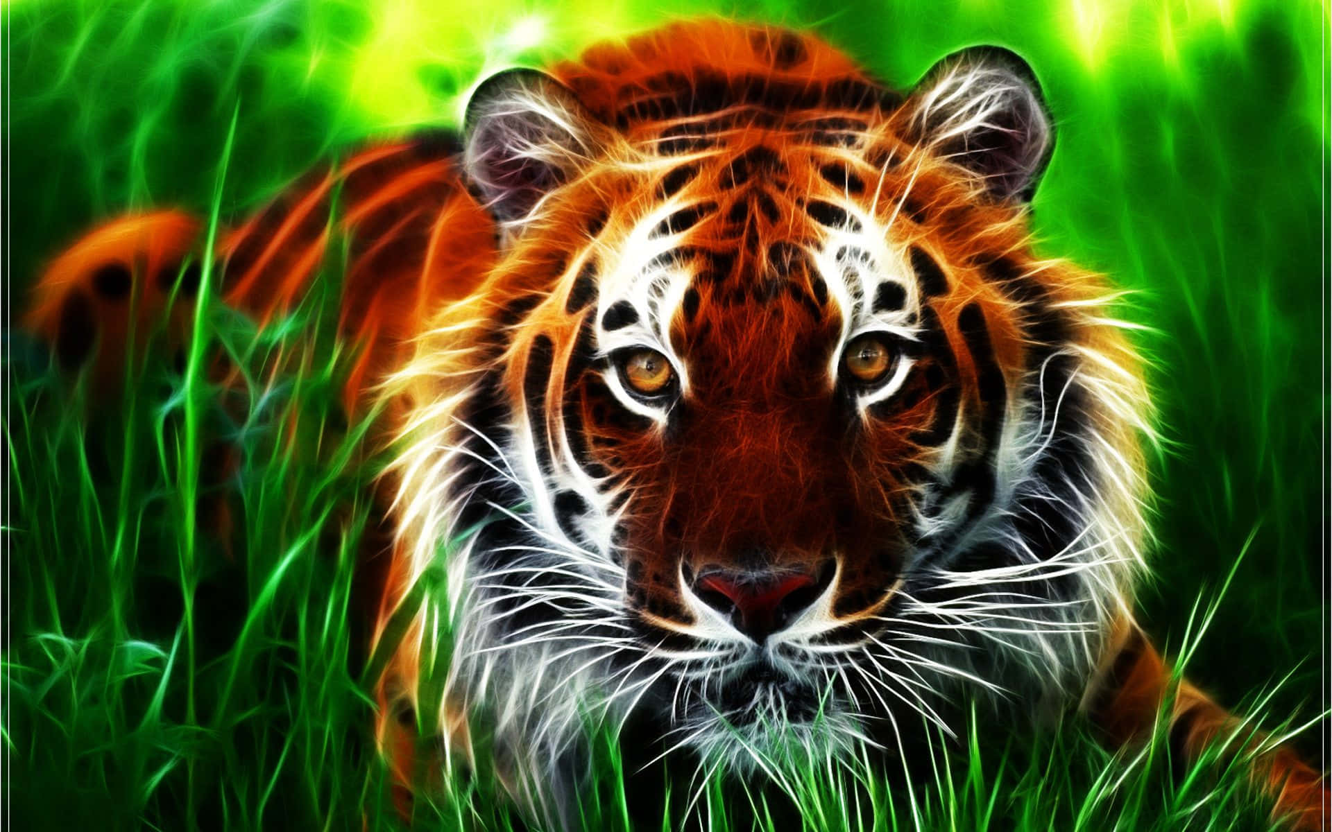 Indochinese Tiger Face Background