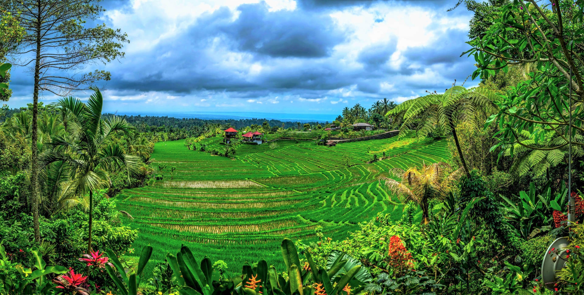 Indonesia Farm Land Background