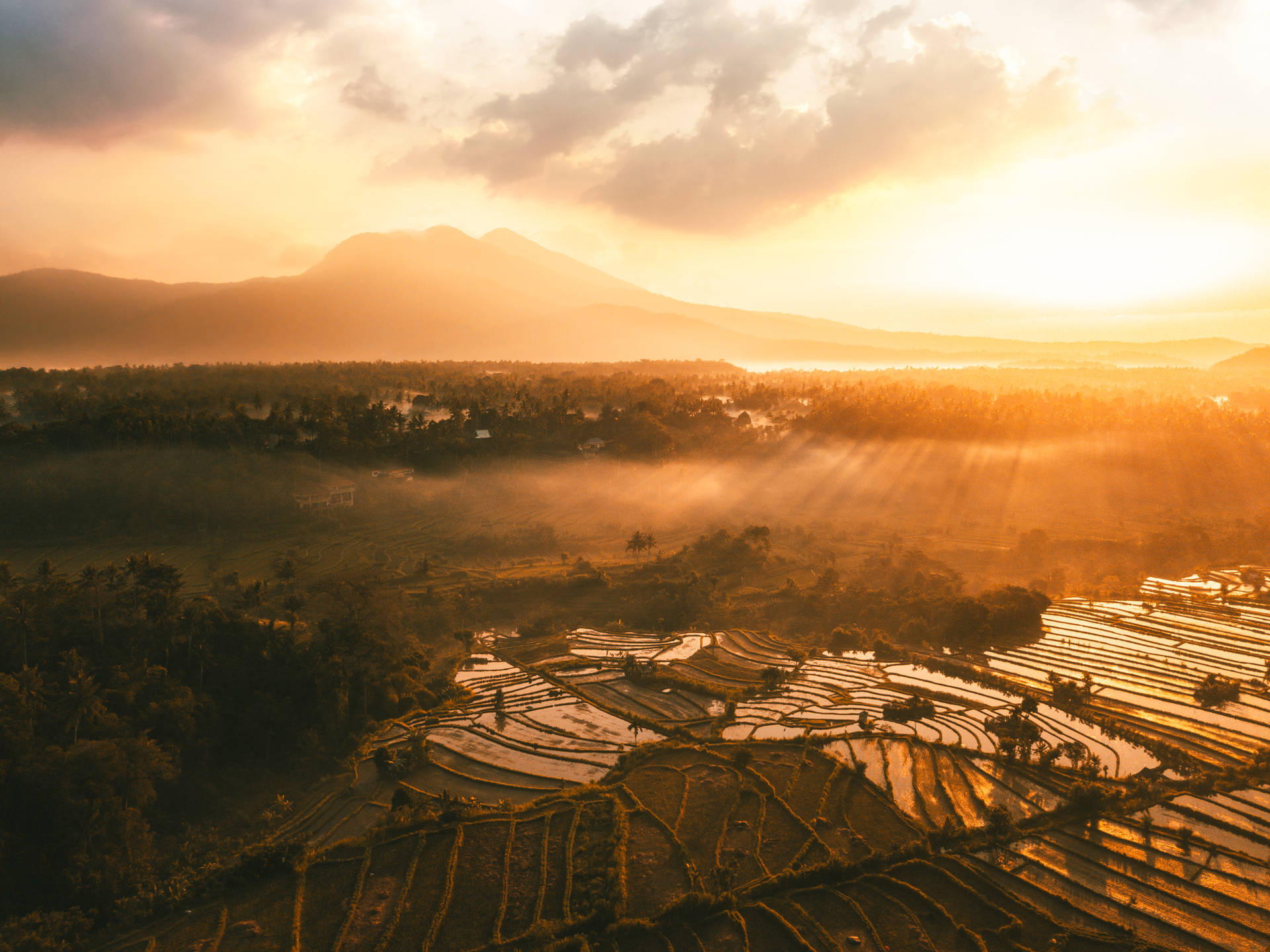 Indonesia Sun Rise Farms Background