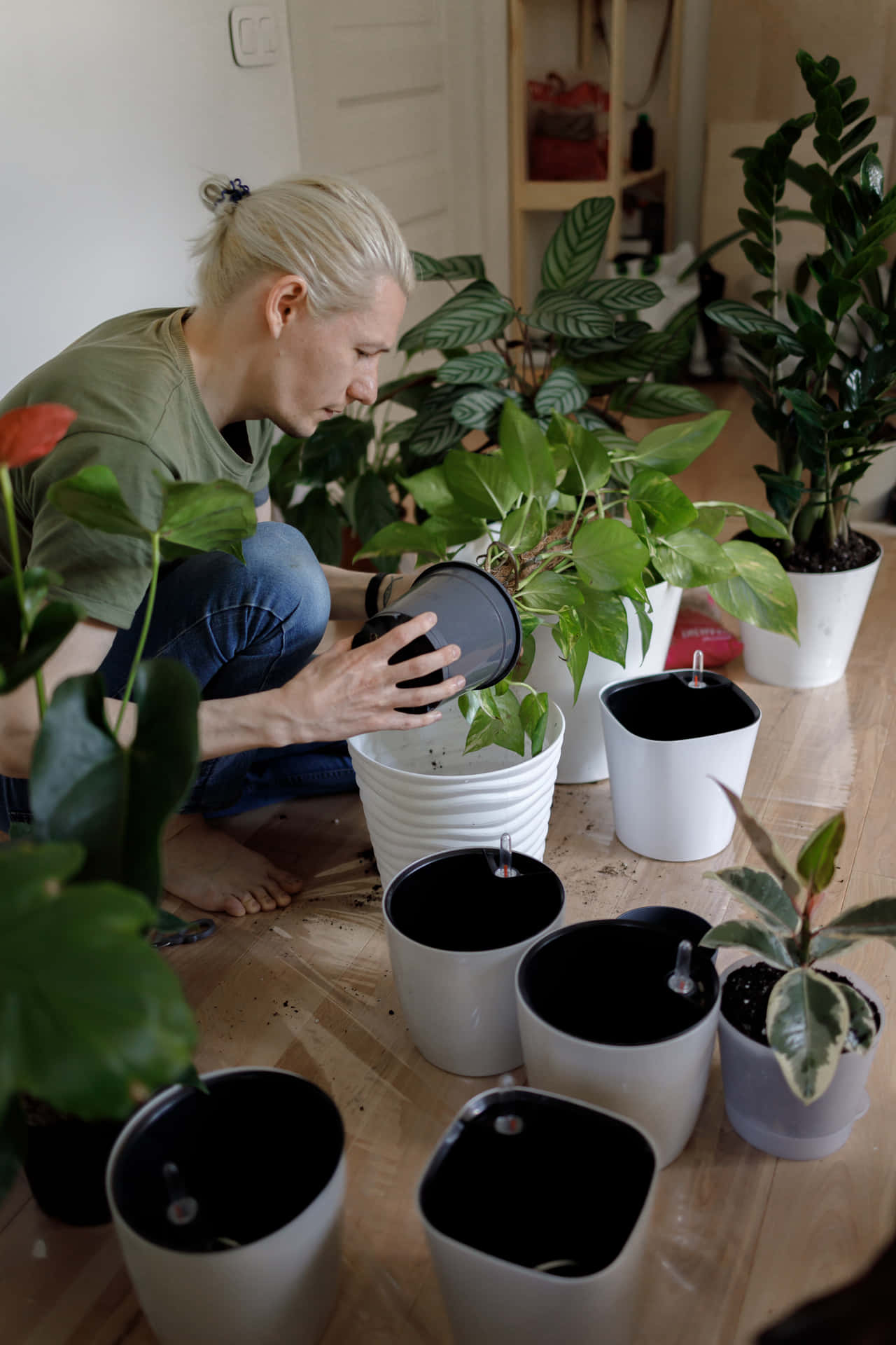 Indoor Plant Care Routine