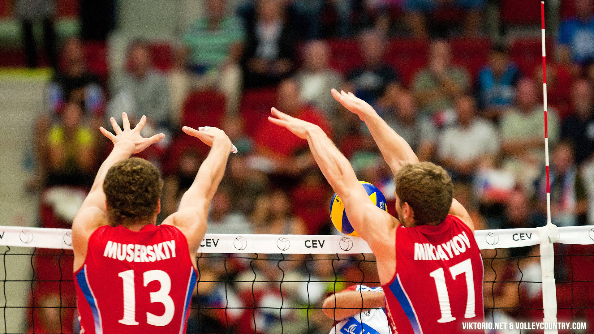 Indoor Volleyball Block Background