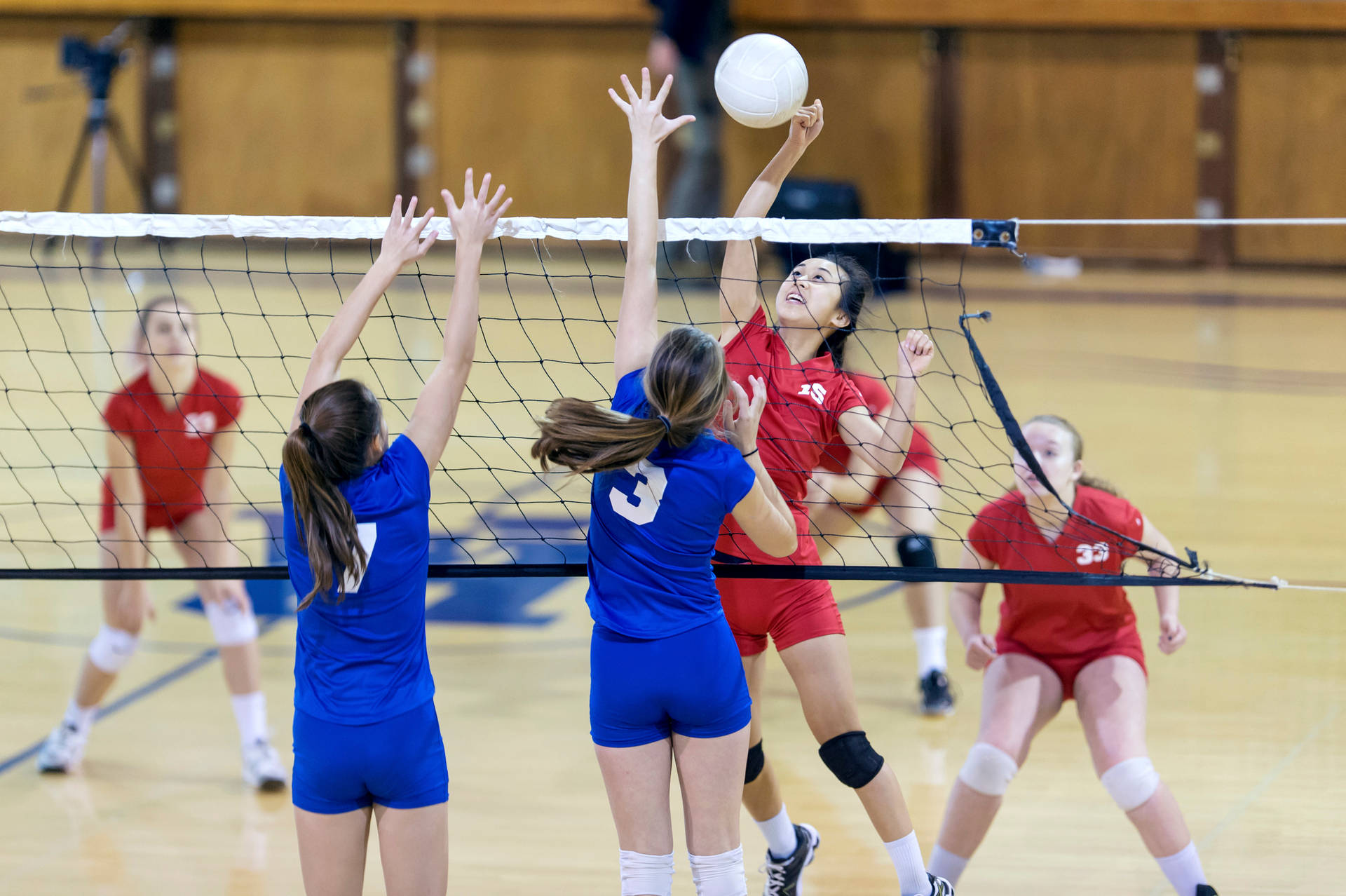 Indoor Volleyball Game Background