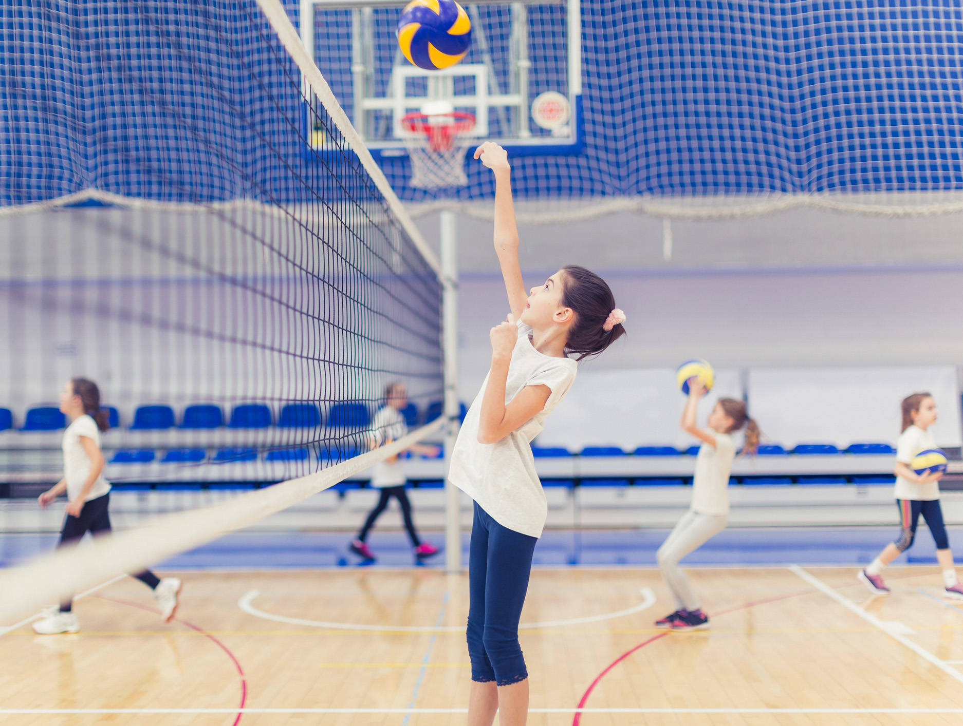 Indoor Volleyball Receive Background