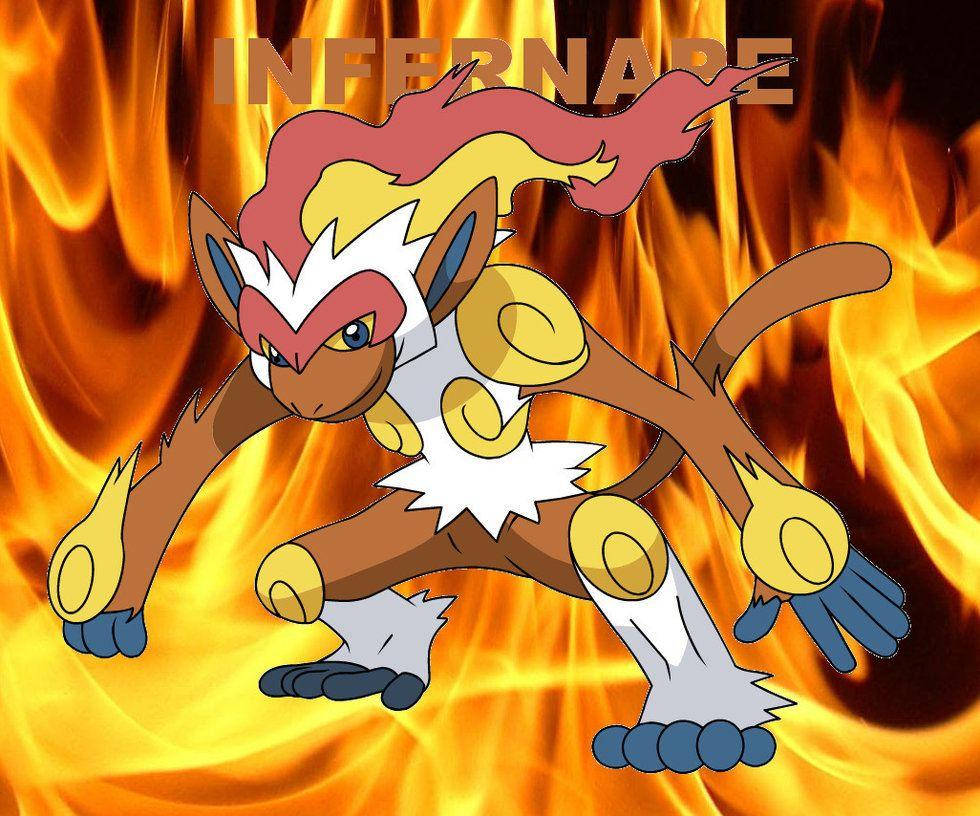 Infernape On Hind Legs