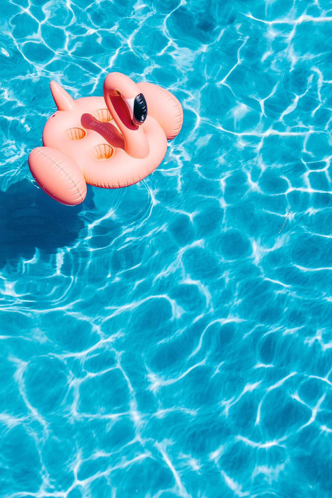 Inflatable Flamingo In A Pool Background