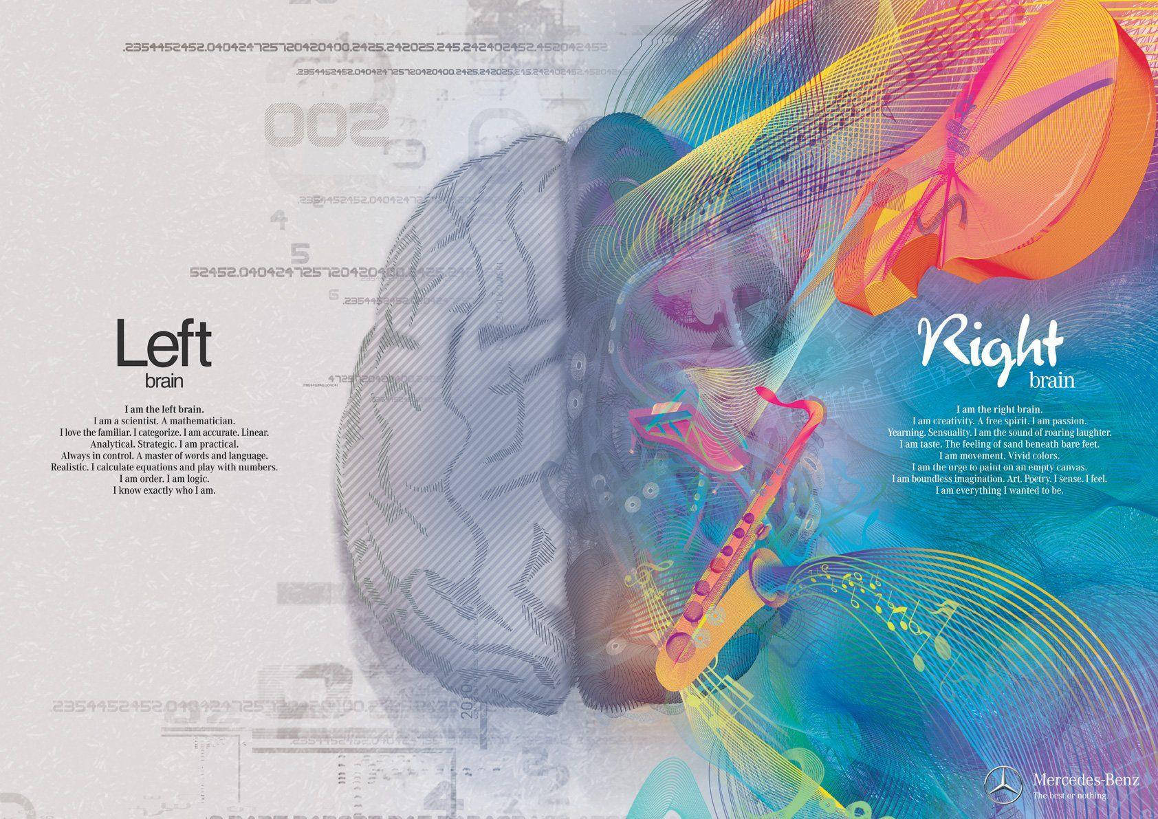 Informative Medical Brain Parts Chart Background