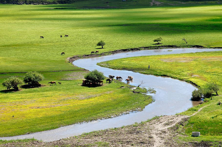 Inner Mongolias Riverbend Background