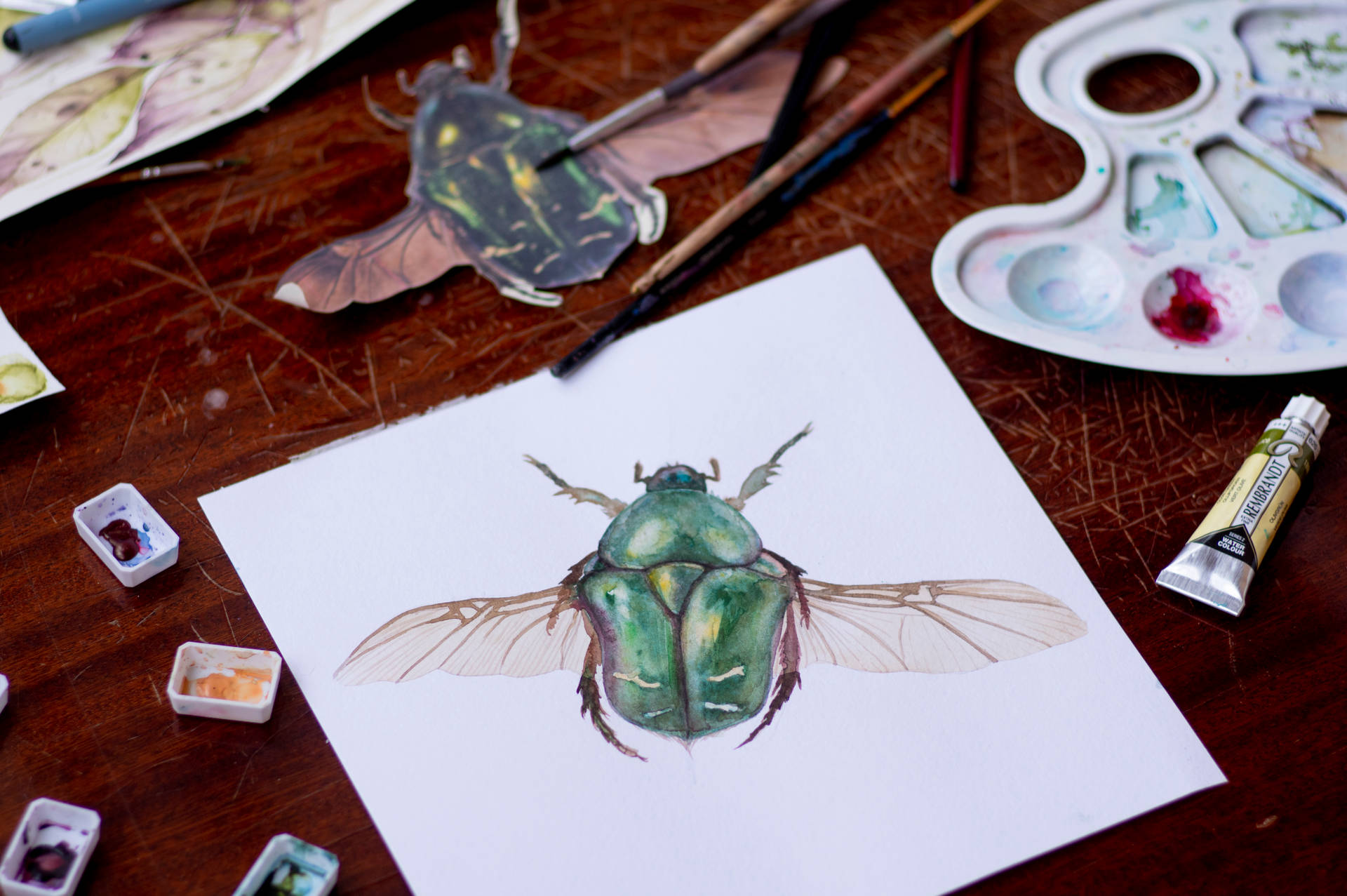 Insect Realistic Art Background