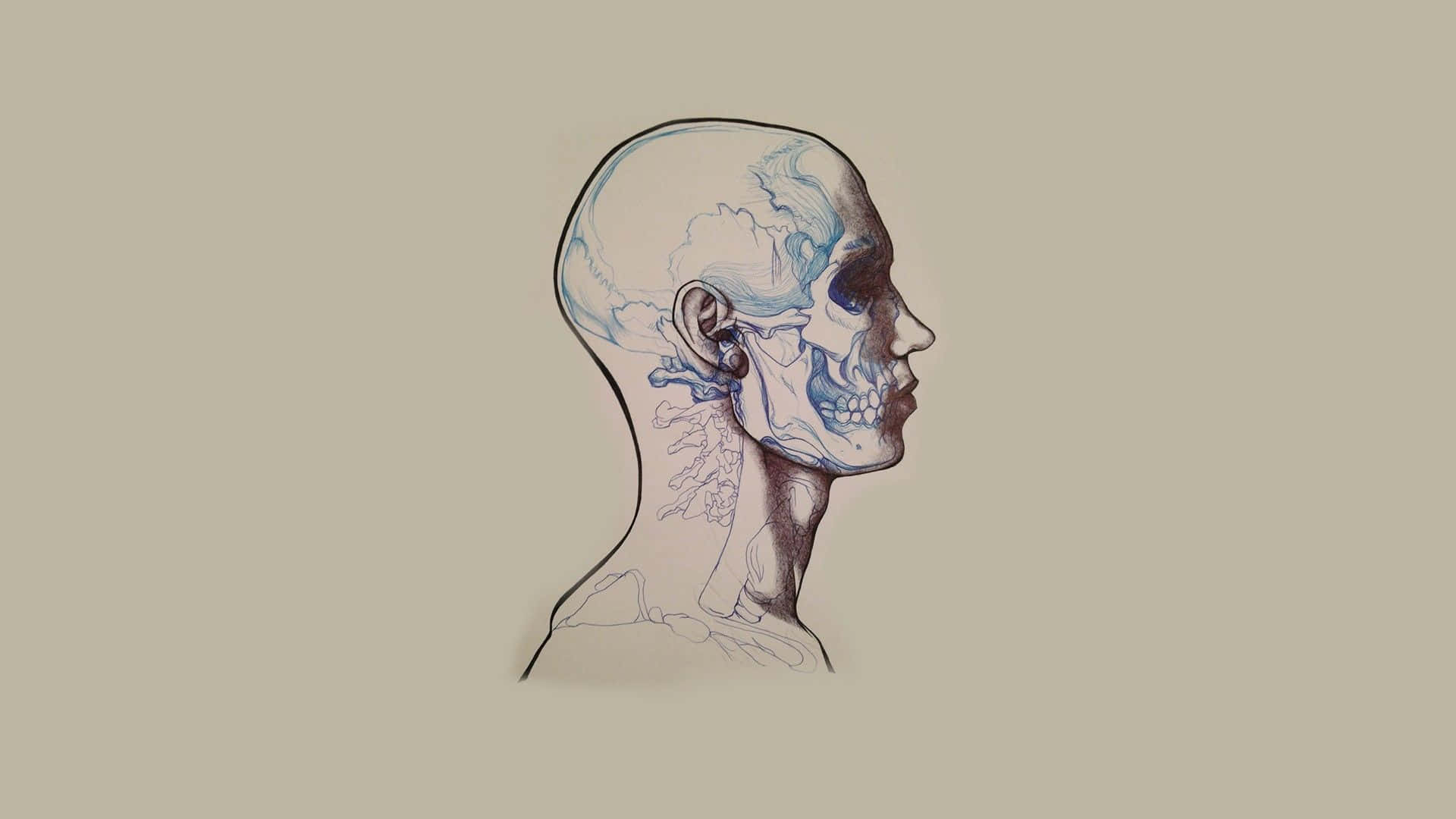 Inside Outside Head Image Background