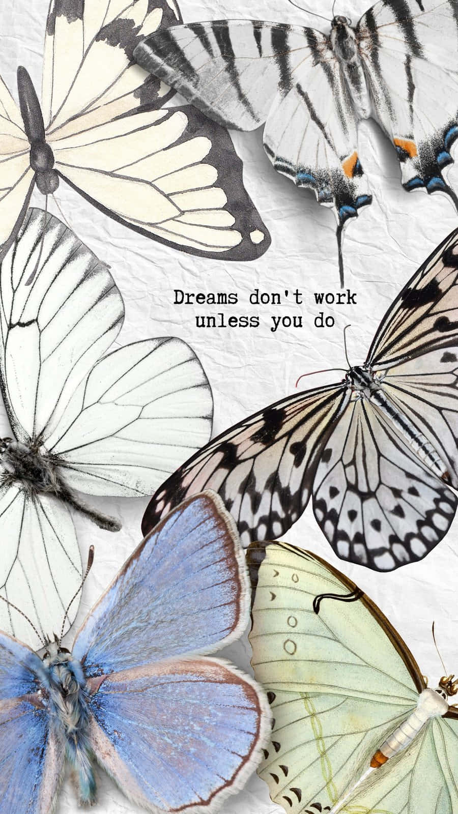 Inspirational Butterfly Quote Wallpaper Background