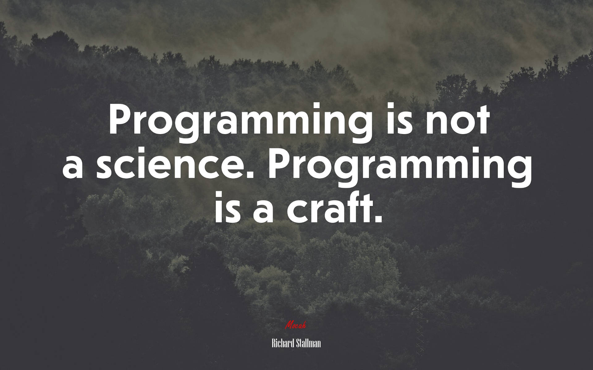 Inspirational Programming Quote By Richard Stallman Background