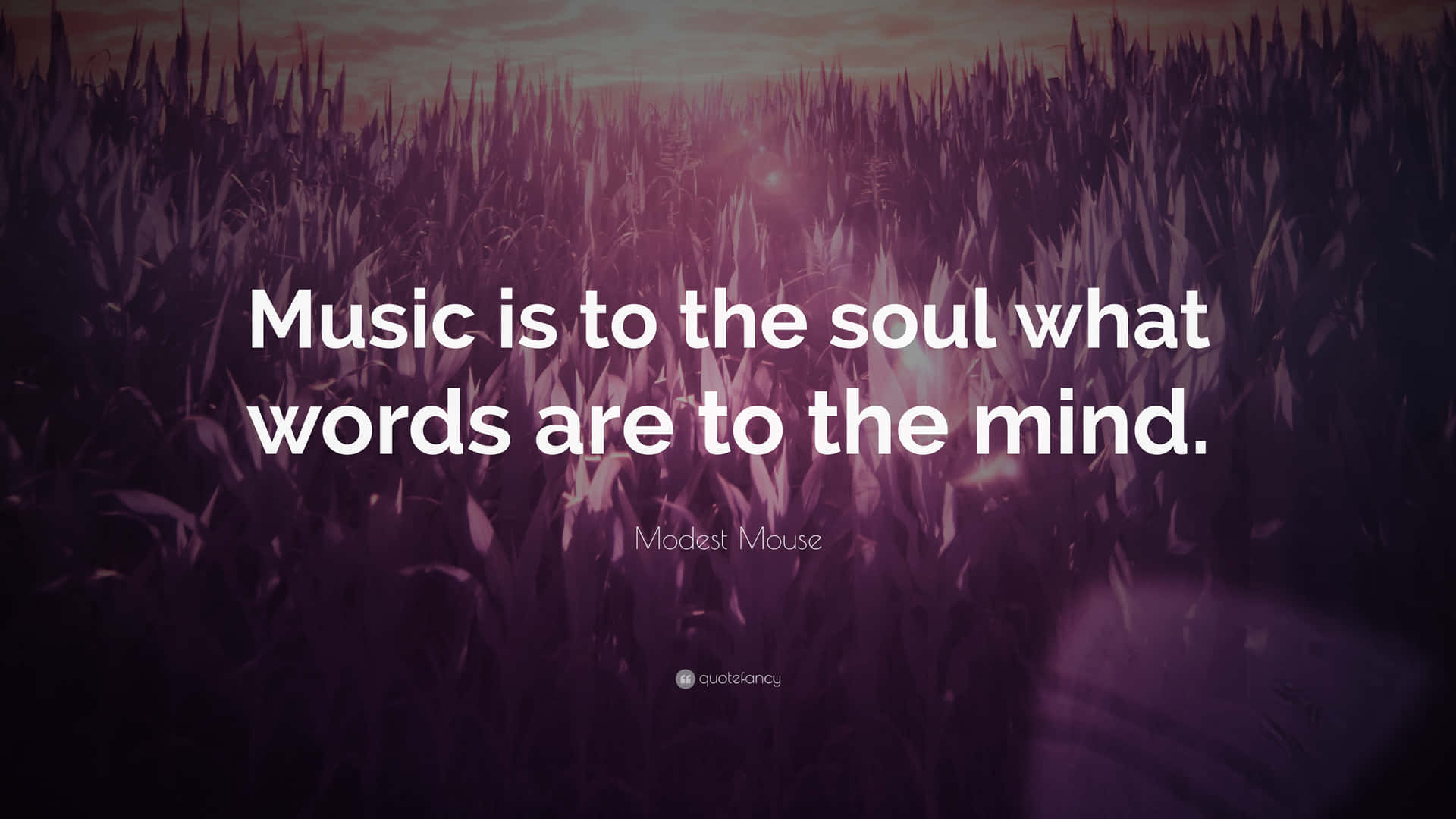 Inspirational Quote By Modest Mouse Background