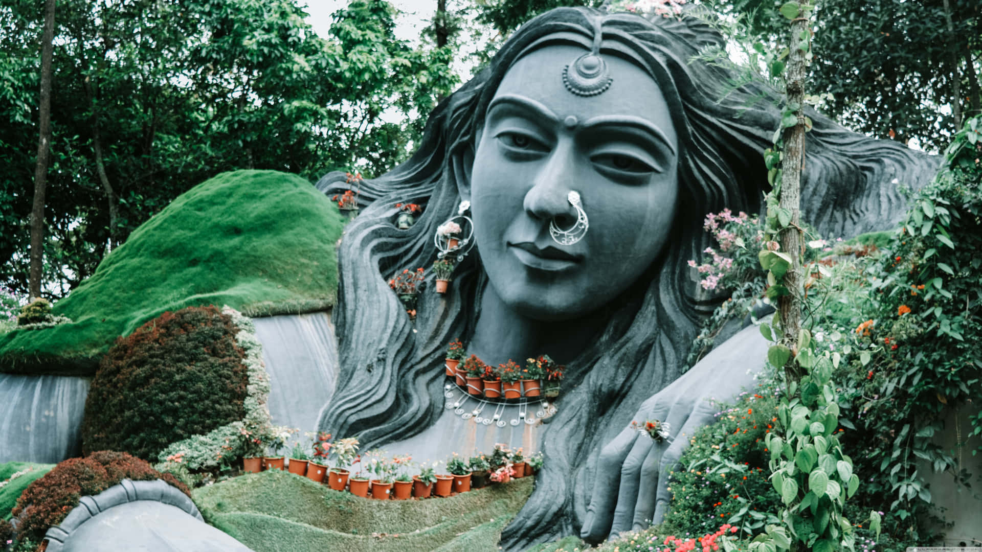 Integral Botanical Garden Background