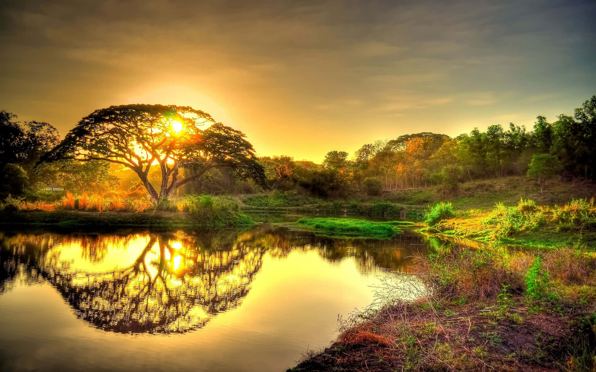Integral Part Of Nature Background